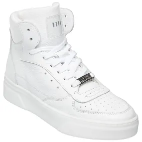 Steve Madden Ladies Danoi Trainers